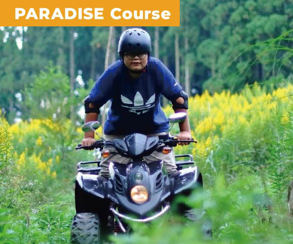 PARADISE Course